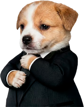 BOSS